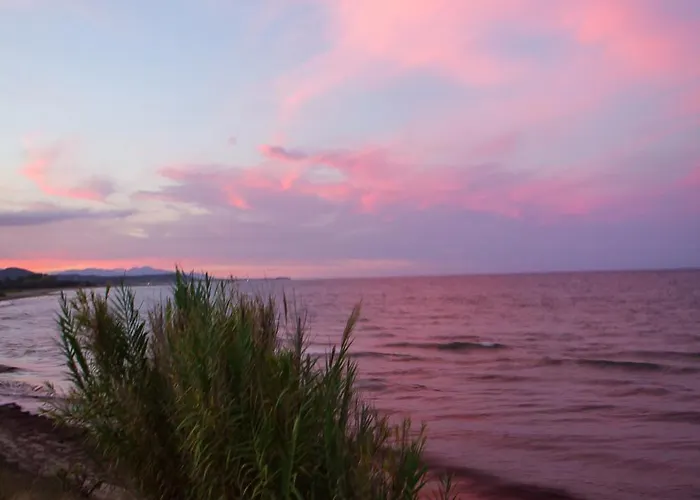 Prázdninový dům Climatisee T3 Piscine Chauffee Acces Direct A La De Prunete
