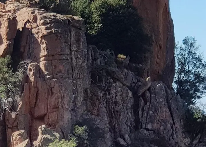 Prázdninový dům Climatisee T3 Piscine Chauffee Acces Direct A La De Prunete *