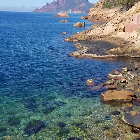 Climatisée T3 Piscine Chauffée Accès Direct à La De Prunete *