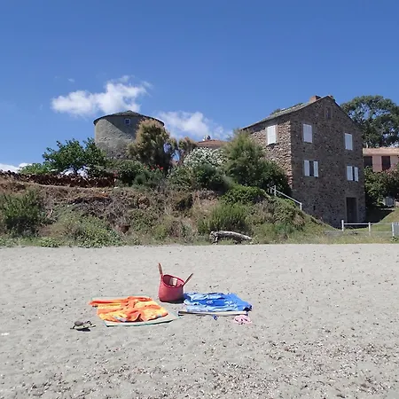 Climatisee T3 Piscine Chauffee Acces Direct A La De Prunete Cervione